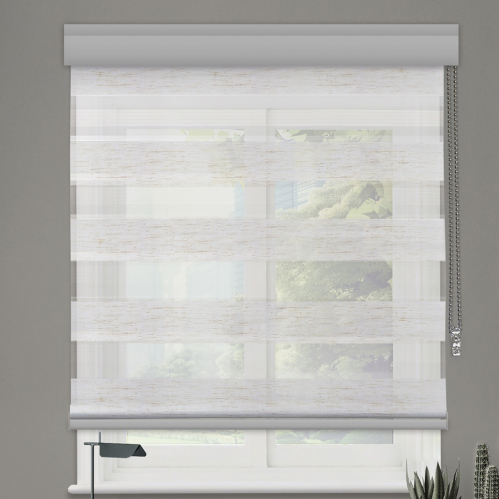 Pack store jour nuit alutech + moteur