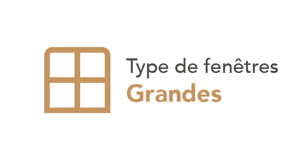 Type de fenêtre