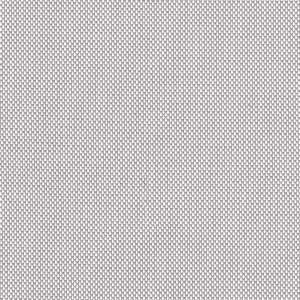 Screen Gris clair P404