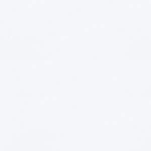 Noix de coco 25mm - Bois lisse