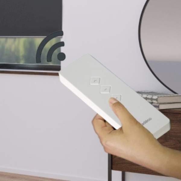 Télécommande standard